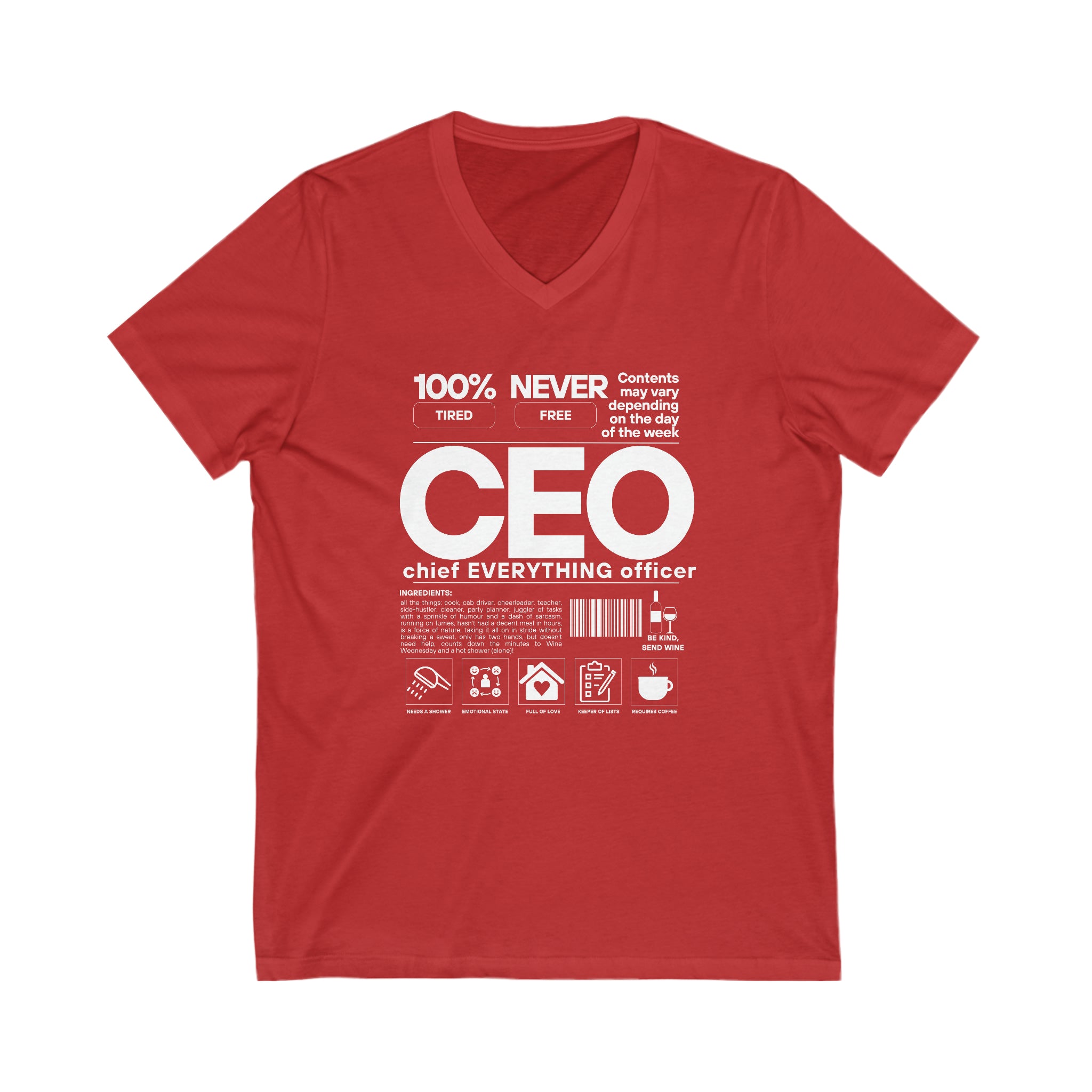 CEO (Chief EVERYTHING Officer) Ingredients V-Neck